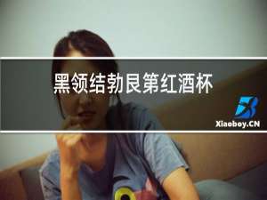 黑领结勃艮第红酒杯