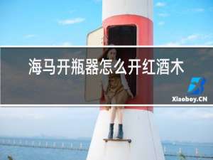 海马开瓶器怎么开红酒木塞