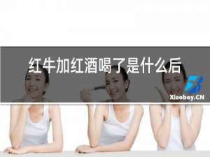 红牛加红酒喝了是什么后果