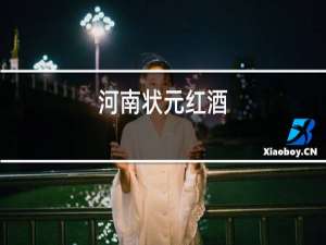 河南状元红酒
