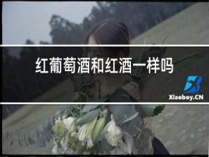 红葡萄酒和红酒一样吗