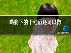喝剩下的干红酒还可以做什么用?