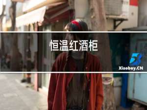 恒温红酒柜