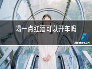 喝一点红酒可以开车吗