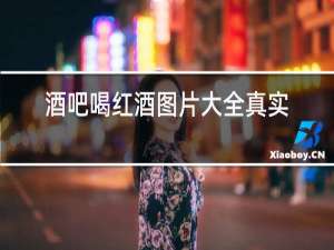 酒吧喝红酒图片大全真实