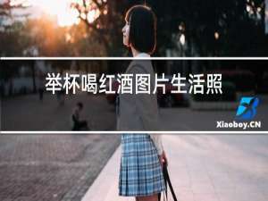 举杯喝红酒图片生活照