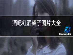 酒吧红酒架子图片大全