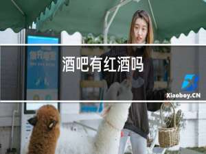 酒吧有红酒吗