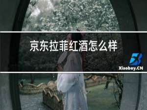 京东拉菲红酒怎么样