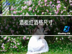 酒柜红酒格尺寸