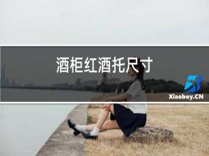 酒柜红酒托尺寸