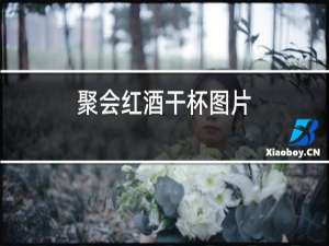 聚会红酒干杯图片