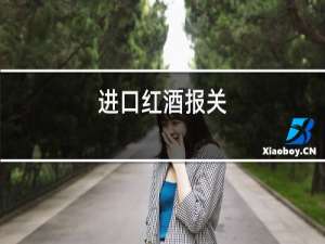 进口红酒报关