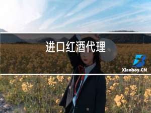 进口红酒代理