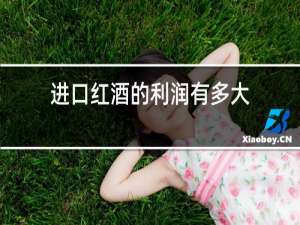 进口红酒的利润有多大