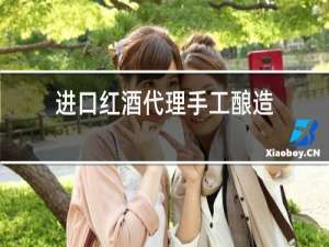 进口红酒代理手工酿造