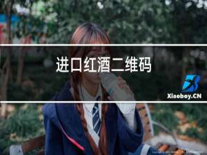 进口红酒二维码