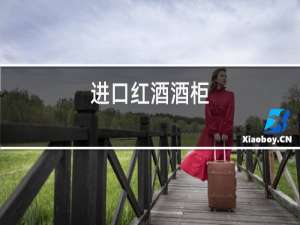 进口红酒价格