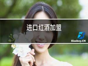 进口红酒加盟