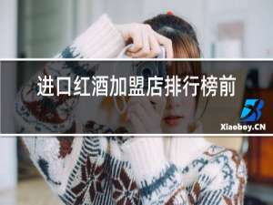 进口红酒加盟店排行榜前十名