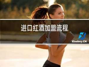 进口红酒加盟流程