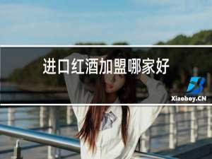 进口红酒加盟哪家好