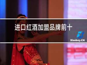 进口红酒加盟品牌前十