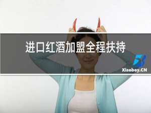 进口红酒加盟全程扶持
