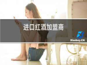 进口红酒加盟商