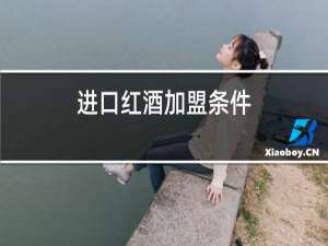 进口红酒加盟条件