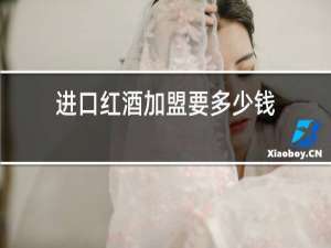 进口红酒加盟要多少钱
