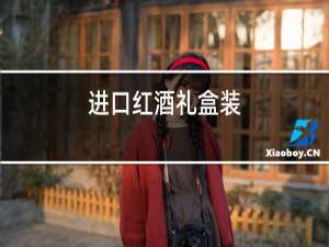 进口红酒礼盒装