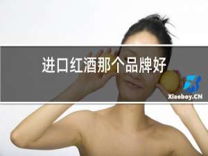 进口红酒哪个品牌好