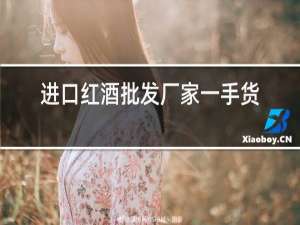 进口红酒批发厂家一手货源