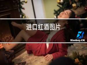 进口红酒图片