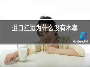 进口红酒为什么没有木塞