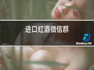 进口红酒微信群