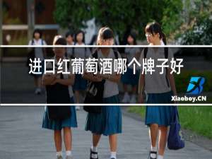 进口红葡萄酒哪个牌子好