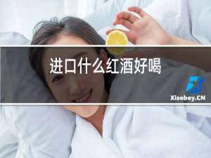 进口什么红酒好喝