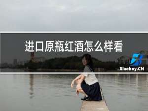 进口原瓶红酒怎么样看