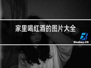 家里喝红酒的图片大全