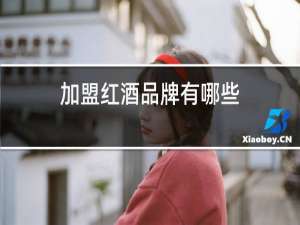 加盟红酒品牌有哪些