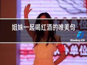 姐妹一起喝红酒的唯美句子