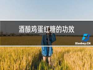 酒酿鸡蛋红糖的功效