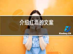介绍红酒的文案