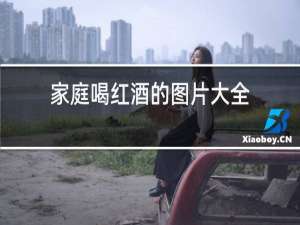 家庭喝红酒的图片大全