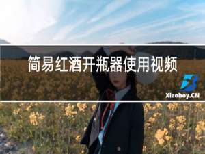 简易红酒开瓶器使用视频
