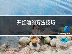 开红酒的方法技巧