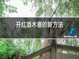 开红酒木塞的新方法