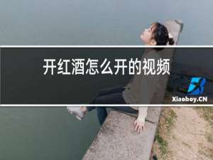 开红酒怎么开的视频
